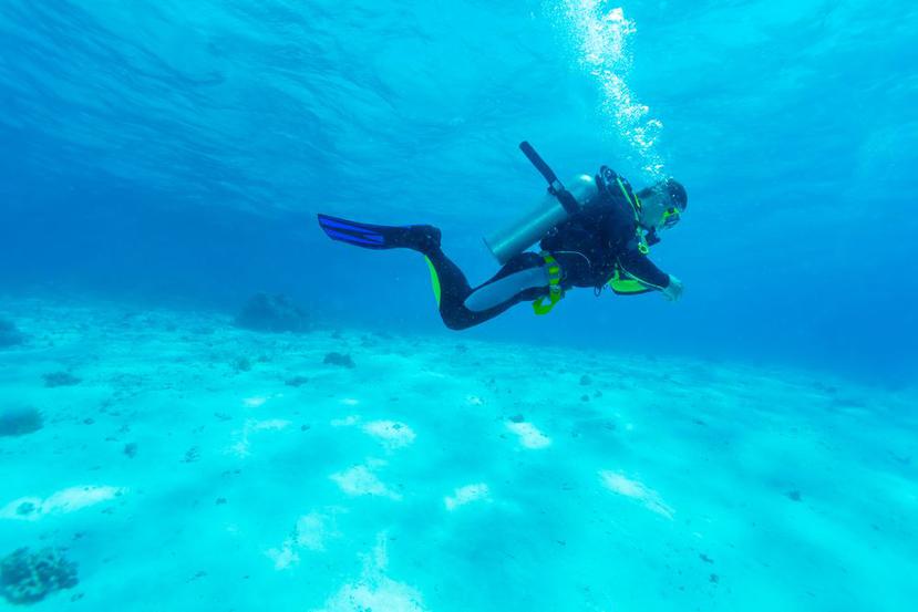 Un buzo en el océano Indico. (Shutterstock)
