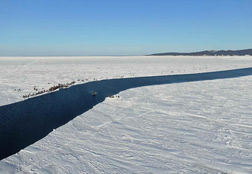 Un grupo de pescadores usan un pequeño trozo de hielo como balsa para llegar remando a la costa. (Servicio de prensa Ministerio de Emergencias de Rusia vía AP)