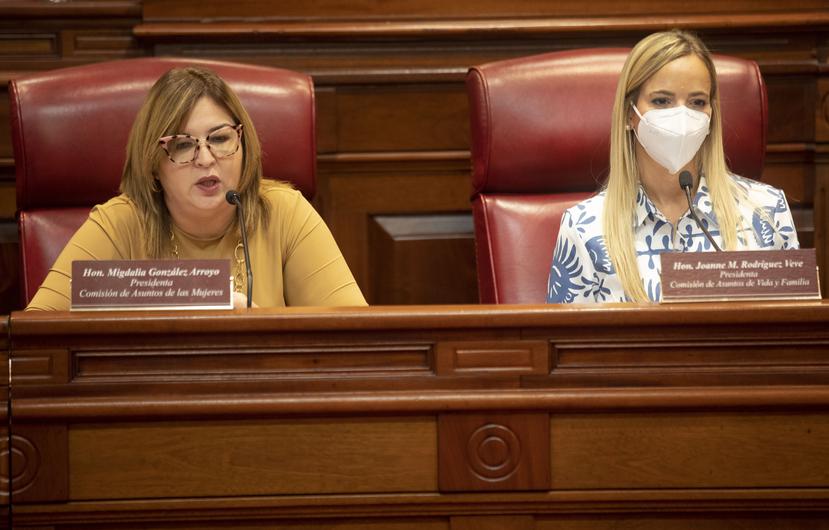 Senators Migdalia González Arroyo and Joanne Rodríguez Veve (Dignity Project) during the public hearing.