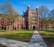 Yale todavía no ha anunciado cómo retomarán las clases. (Shutterstock)
