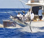 Esta semana se celebra el primer día del Torneo Internacional de Pesca de Aguja Azul del Club Náutico de San Juan.