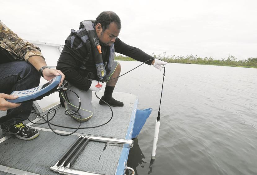 Personal técnico y científico del Estuario realiza monitoreos de calidad de agua semanalmente. Las descargas sanitarias son la principal amenaza.