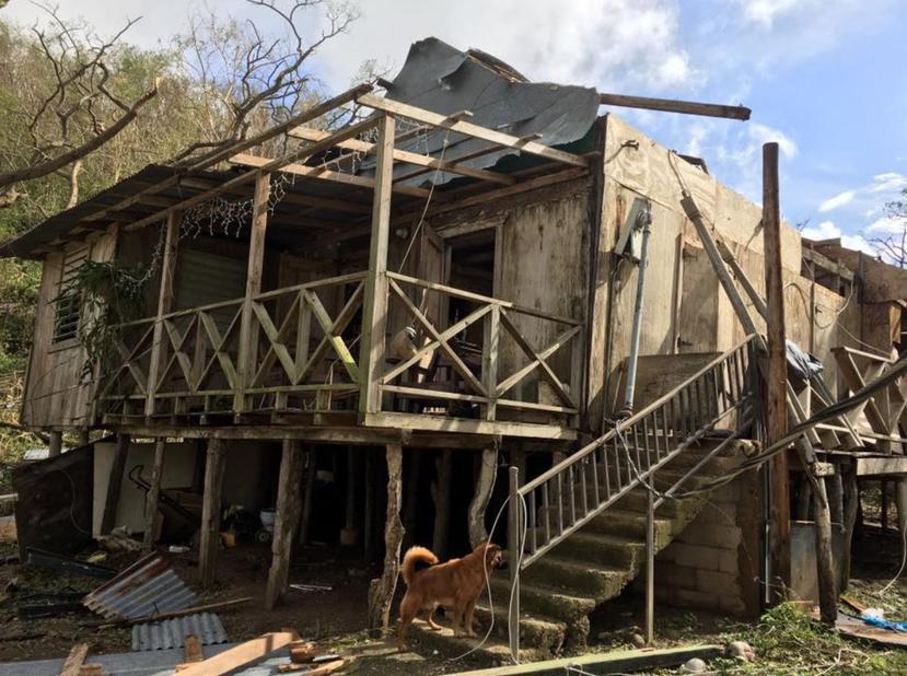 La casa de la familia estaba construida en su totalidad en madera y zinc. (Captura / Facebook)