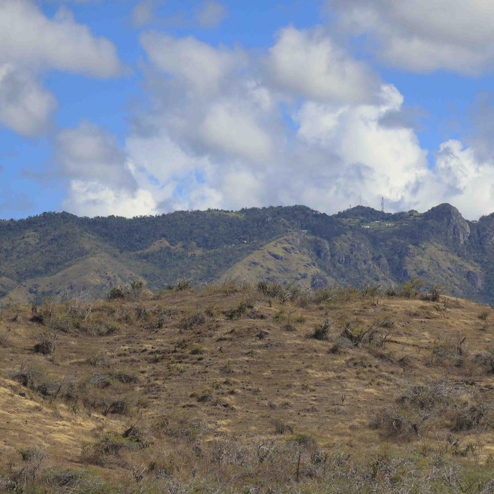 Imagen de archivo que muestra el área montañosa entre Cayey y Salinas bajo condiciones de sequía.