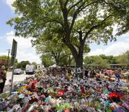 Nogales plantados en la década de 1960 cubren con su sombra un monumento conmemorativo improvisado en honor de las víctimas de la reciente masacre en la Escuela Primaria Robb, en Uvalde, Texas.