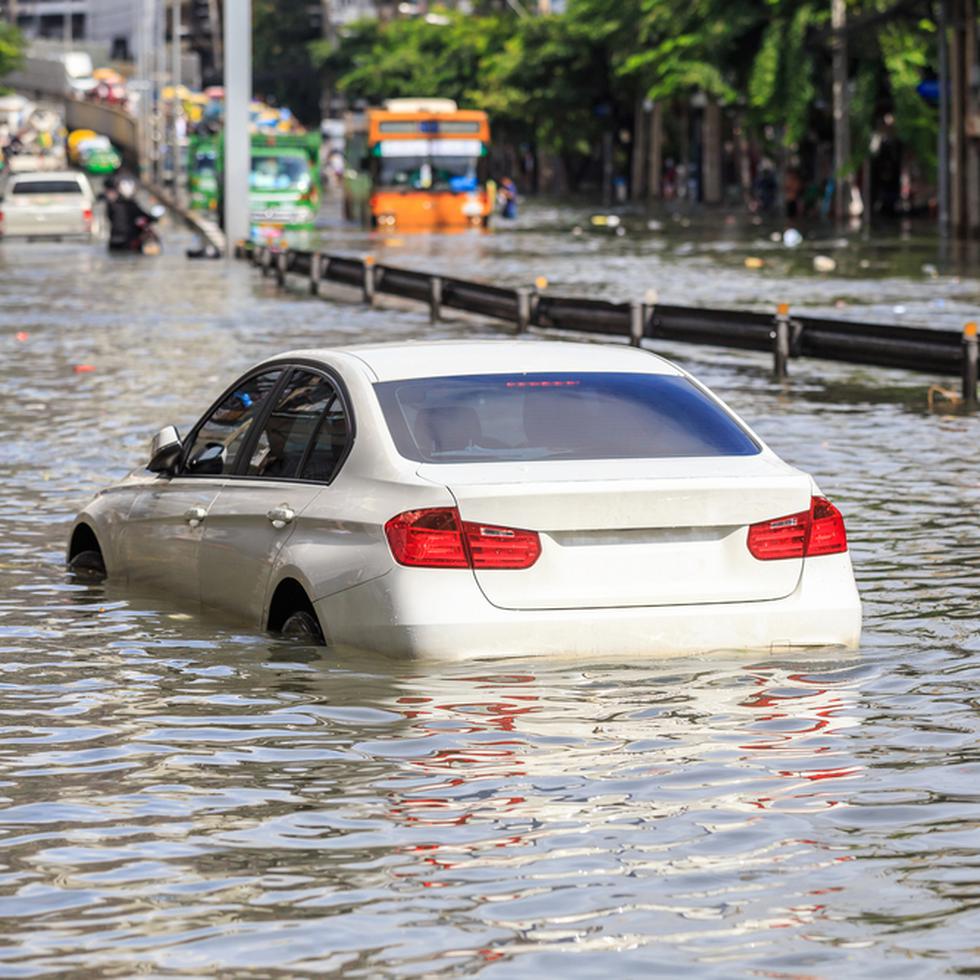 Es importante verificar las cubiertas que tiene tu póliza: estructuras, contenido, responsabilidad por daños a terceros, inundación y daños por agua, y automóvil.