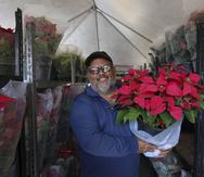 David Burgos, propietario de B&B Farms, en Comerío, cultivó en su empresa este año 70,000 pascuas luego de propagar 10,000 plantas madres.
