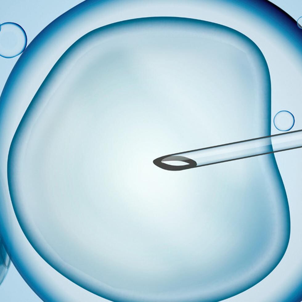 Los padres del bebé decidieron someterse a un tratamiento de fertilidad y los embriones quedaron congelados. (Shutterstock)
