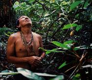 El líder indígena Binan Tukum busca monos para cazar en la región de Atalaia du Norde, en el norte de la Amazonía. El gobierno de Lula ha afirmado su interés en proteger a las naciones indígenas, poniendo fin a la deforestación ilegal de los bosques tropicales,