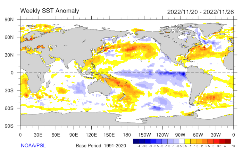 Mapa que muestra las anomalías en temperaturas en la superficie del océano Pacífico central y oriental, en la semana del 20 al 26 de noviembre de 2022. Los colores azules (temperaturas frías) son propias de La Niña.