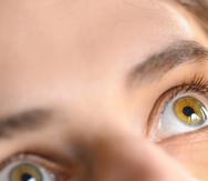 La presbicia o vista cansada una afección ocular común y progresiva a partir de los 40 años.