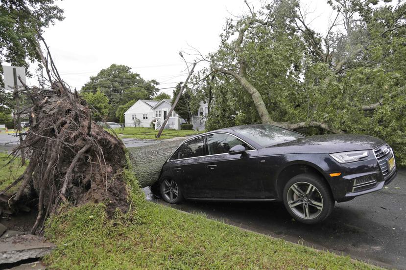 Las poderosas tormentas provocaron que un automóvil quedara aplastado por un árbol que cayó en la ciudad de Neptune, Nueva Jersey. (AP)