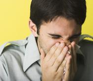Los efectos directos de las esporas de hongo en el ser humano son asmas y alergias.