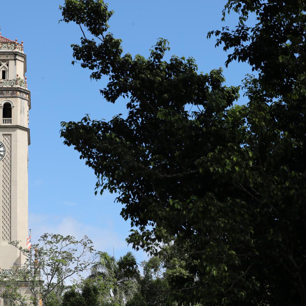El Recinto de Río Piedras, de la Universidad de Puerto Rico, recibirá $1 millón como parte de la iniciativa de reforestación financiada con fondos de la Ley para la Reducción de la Inflación federal (IRA, en inglés).