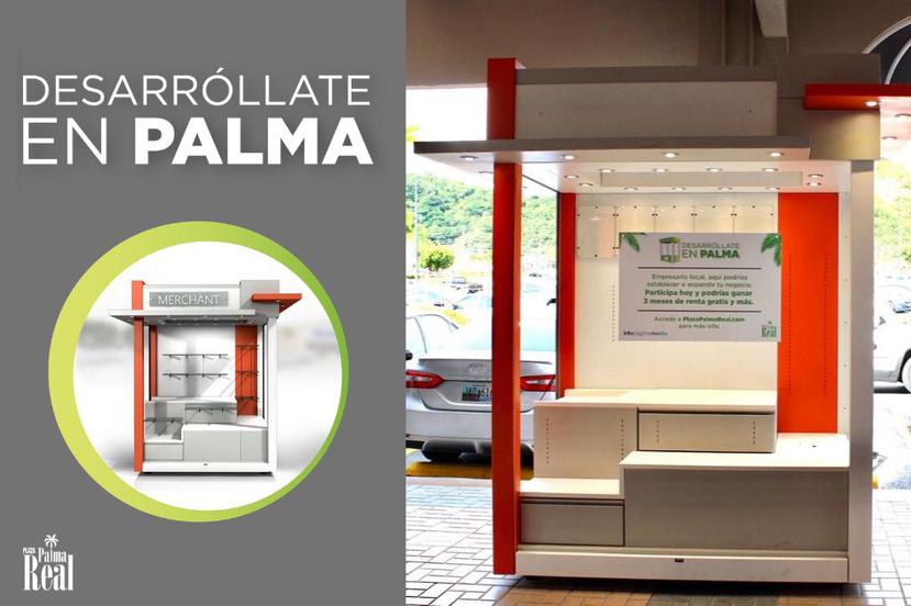 El programa “Desarróllate en Palma” está dirigido a pequeños y medianos comerciantes interesados en desarrollar o expandir su presencia comercial. (Suministrada)