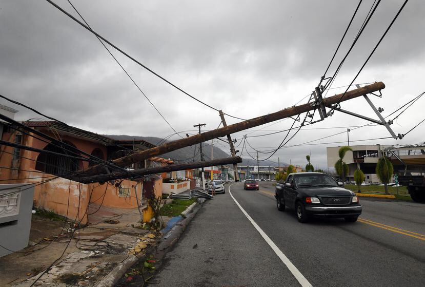 La Autoridad de Energía Eléctrica fue la infraestructura que más daños sufrió tras el paso del huracán María.
