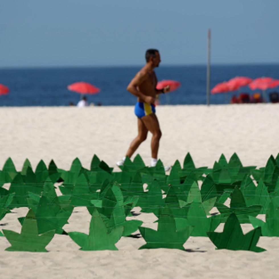 420 réplicas de hoja de marihuana fueron sembradas en la playa de Copacabana, en Río de Janeiro (Brasil), puestas como protesta de los consumidores de la planta que presionan a la Corte Suprema de Justicia que estudia una ley sobre su consumo. (EFE/ Antonio Lacerda)