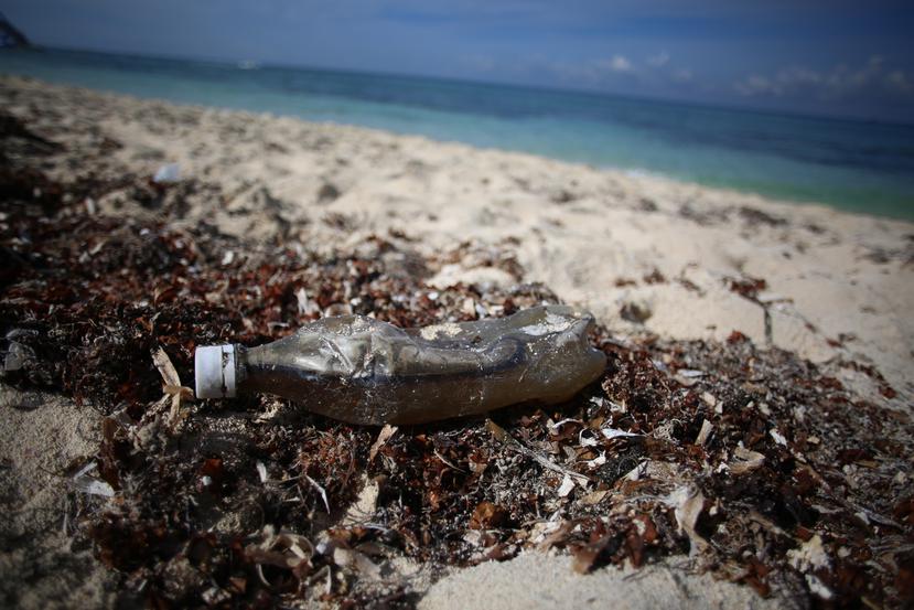 Desechos plásticos que se observan con regularidad en las playas.
