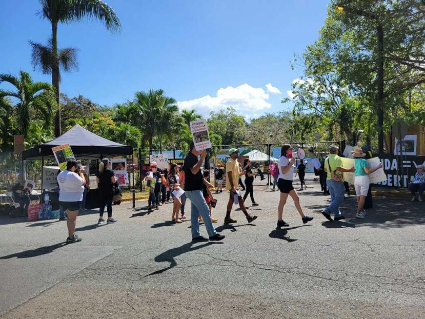 Grupos de animalistas y personas que abogan por el bienestar de los animales protestaron hoy frente al Zoológico de Mayagüez.