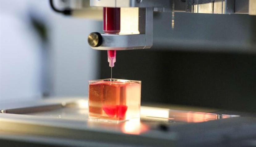 Una impresora 3D imprime el corazón con tejido humano en la Universidad de Tel Aviv en Israel (EFE).