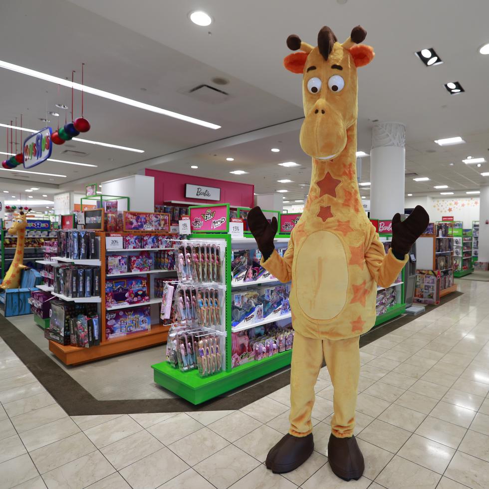Desde el lunes, 17 las dos Macy's en Puerto Rico tendrán eventos y sorpresas para los niños que visiten la juguetería Toys"R"Us, con motivo del cumpleaños de la jirafa Geoffrey.