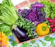 Estamos en temporada de hortalizas y verduras, momento para consumir productos locales.