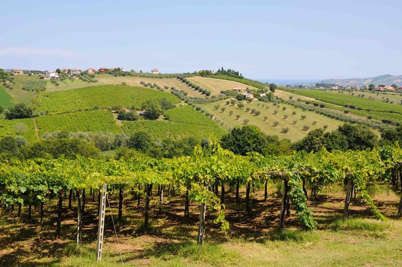Región del Abbruzzo, Italia, donde se produce el vino Montelpuciano (Foto: Shutterstock.com)