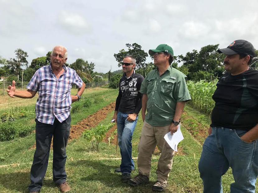 Varios agricultores compartieron sus experiencias sobre agricultura sustentable durante el Simposio Anual de Agroecología, celebrado en el Recinto  de Utuado de la Universidad de Puerto Rico. (Suministrada)