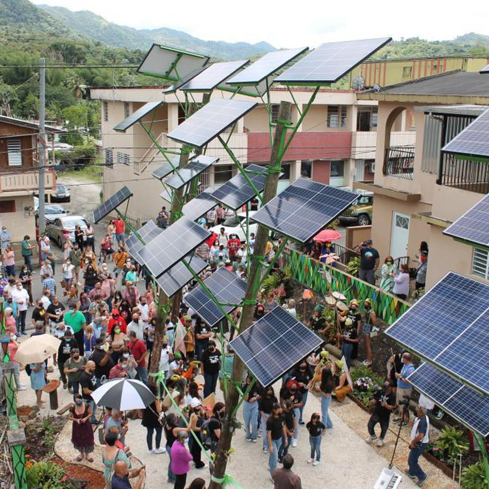 “Bosque Solar” en Adjuntas, un proyecto artístico de energía renovable.