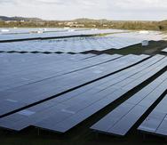 Los proyectos de energía solar a gran escala aprobados contarán con una capacidad de 915 megavatios.