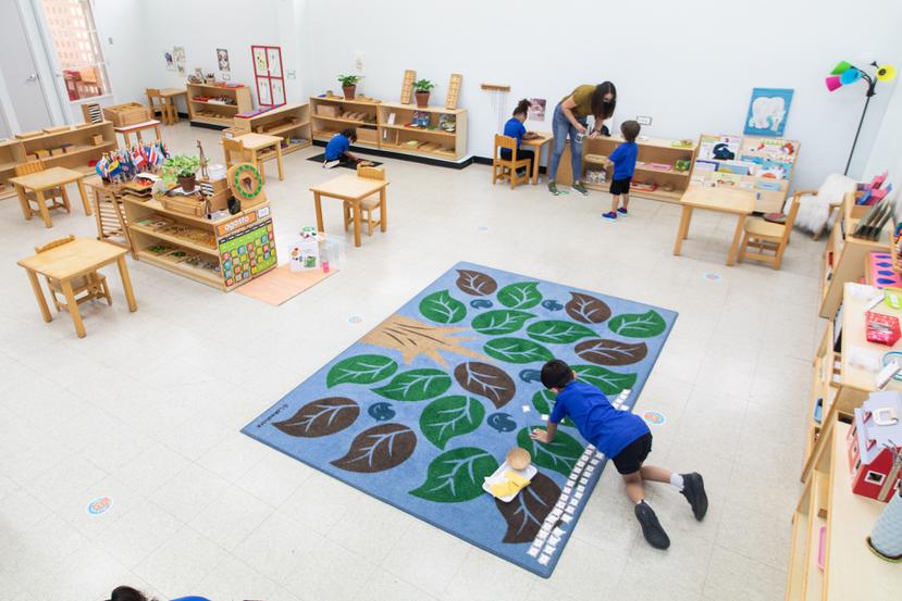 Hasta este semestre, la matrícula de estudiantes en ambientes Montessori en escuelas públicas asciende a unos 6,700.