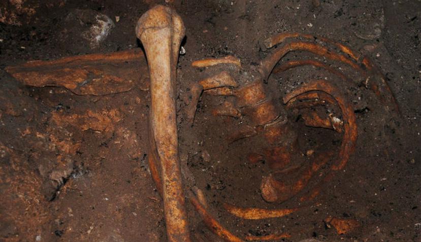Los investigadores que exploran el norte de África han descubierto esqueletos en sitios prehistóricos, aunque sus orígenes no han sido claros (Science Journal).