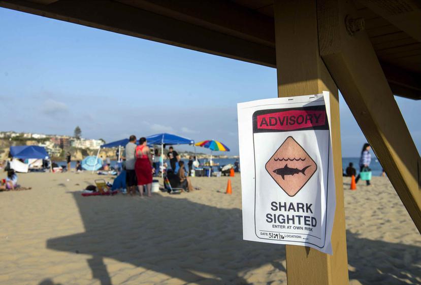 Los salvavidas de Newport Beach despejaron el agua en Corona Del Mar tras recibir una llamada de emergencia médica poco después de las 4 de la tarde del domingo. (AP)