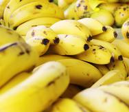 El huracán Fiona destruyó el 80% de las plantaciones de guineos y plátanos en la isla, por lo que se hace necesario importar el producto. 

ESPECIAL GFR MEDIA/ ESTELA RODRÍGUEZ 2014
-----