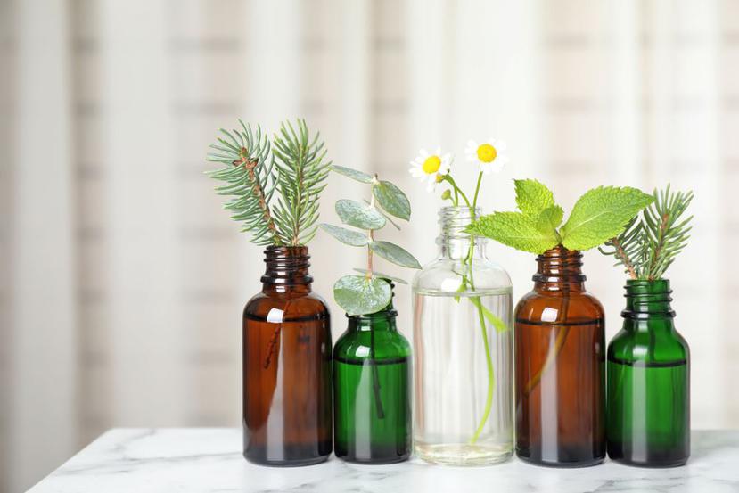 El uso de aceites esenciales pueden mejorar la salud o el estado anímico de una persona. (Shutterstock)