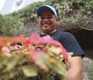 El agrónomo Héctor Santiago celebra que su cultivo no se perdió en su totalidad, por lo que pudo vender sus pascuas ayer.