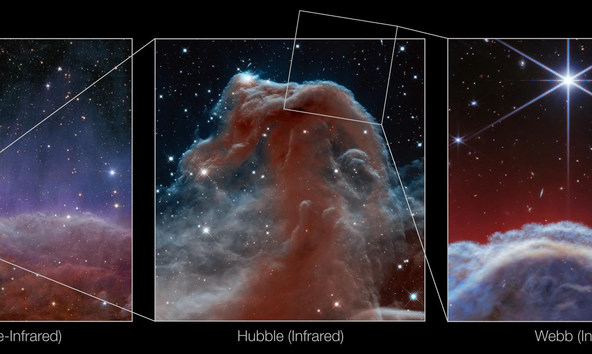 The James Webb telescope captures the “Horsehead” nebula in unprecedented detail