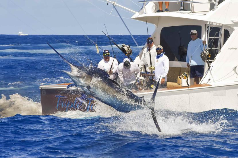 Esta semana se celebra el primer día del Torneo Internacional de Pesca de Aguja Azul del Club Náutico de San Juan.