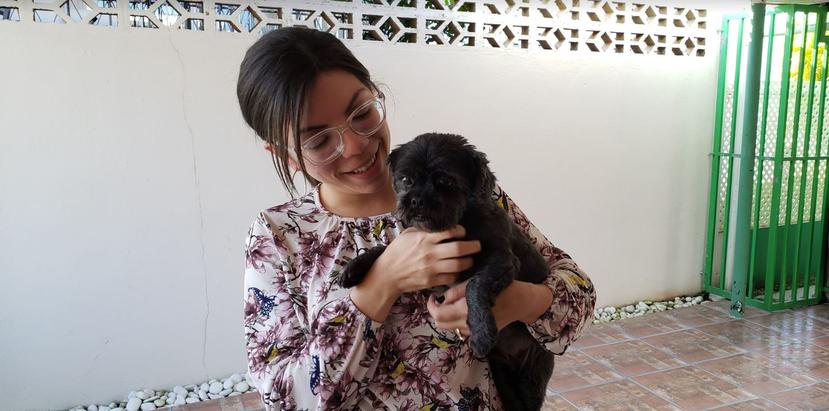 Maricarmen Maisonet González está comprometida a disminuir la población callejera de canes. (Anelisse Rodríguez Rivera)