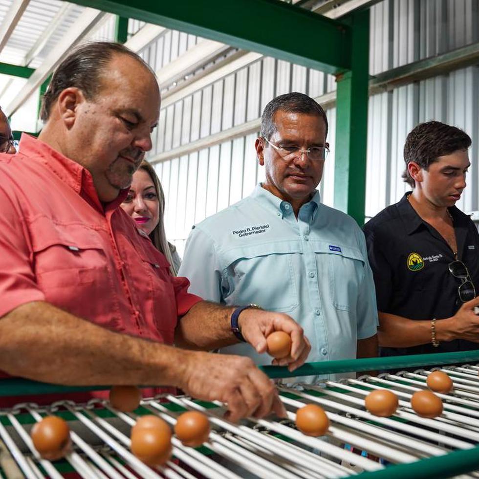 Pierluisi destacó como aciertos de su gobierno, la expansión de la granja Santa Fe en Salinas. En la foto, tomada en noviembre del año pasado, le acompaña (a la izquierda) el secretario de Agricultura, Ramón González.