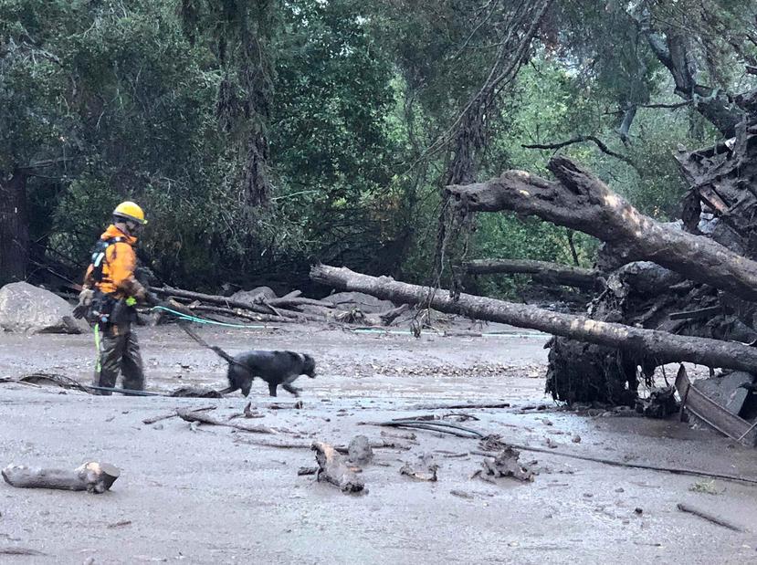 Los Bomberos trabajan en los servicios de rescate en medio del lodo durante las intensas lluvias en Montecito, California el 9 de enero de 2018. (EFE)