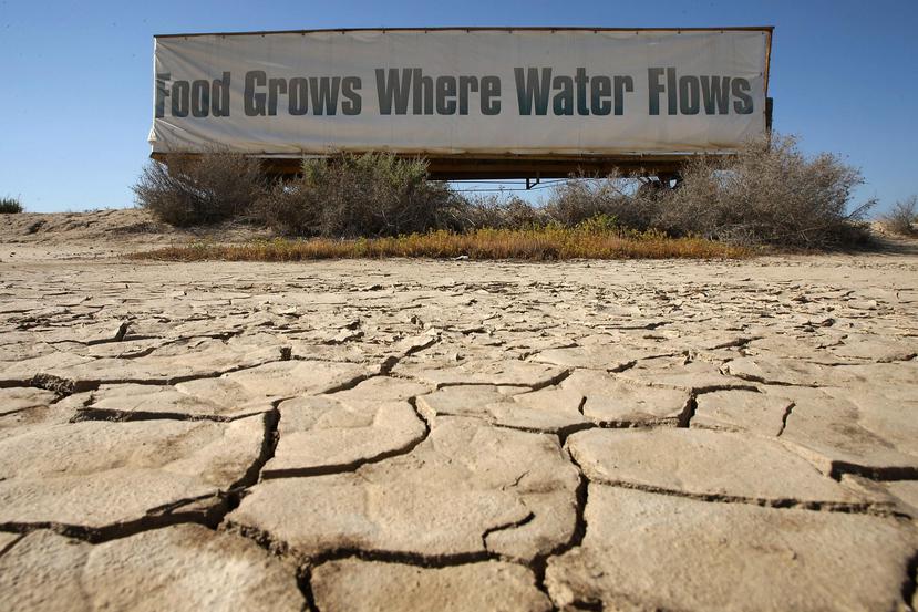 El pasado 7 de abril, California oficialmente puso fin a cinco años de sequía extrema y levantó el estado de emergencia. (Archivo)