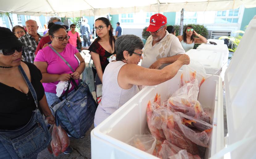 A las 10:00 a.m. el Mercado Agrícola se había quedado sin pescado fresco, y los pescadores de Cataño acudieron con neveras llenas para la venta.