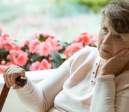 Los adultos mayores de 65 años son el segmento de la población de más rápido crecimiento y son más vulnerables a desarrollar distintos tipos de demencia, incluyendo el Alzheimer.