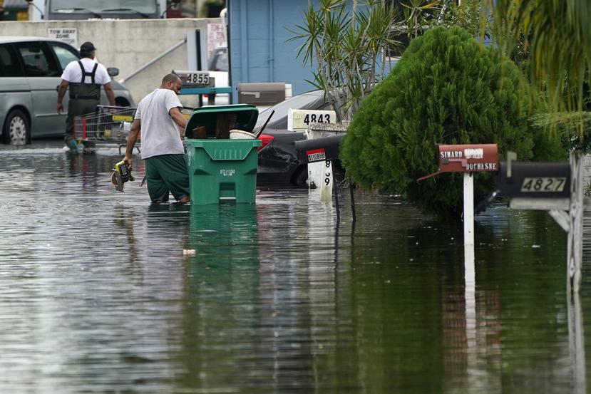 Los vecinos levantan escombros de una calle inundada por el paso de Eta en Davie, Florida.