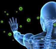 En el sistema inmunológico y óseo articular, la infección se inicia con la entrada del virus chikunguya al cuerpo humano, por el bloqueo de los glóbulos blancos responsables de su defensa, por la producción de sustancias facilitadoras de la inflamación y