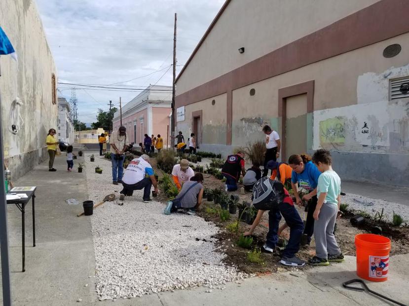 Como una alternativa para disminuir los contaminantes en la escorrentía que llega a la costa, los residentes del barrio Playa de Ponce desarrollaron dos jardines de lluvia.