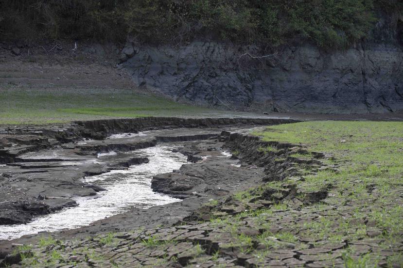 La sequía que afecta a Puerto Rico y la extracción constante de los acuíferos del sur han afectado la estabilidad de este recurso. (Archivo / GFR Media)