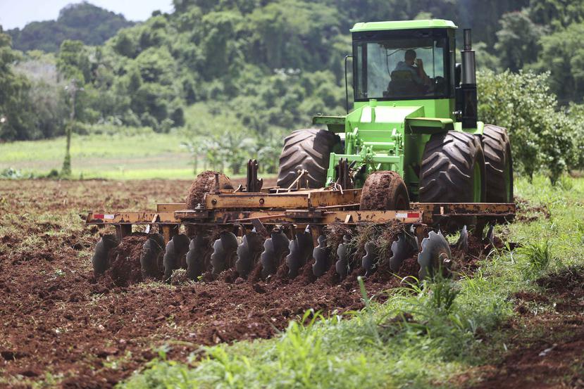 La medida legislativa tiene como fin la preservación de las tierras agrícolas para el desarrollo sustentable y económico de Puerto Rico. (Archivo / GFR Media)