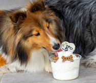 El café incluye un menú para mascotas. Se requiere que los perros que asistan al parque tengan sus vacunas al día y estén supervisados por su cuidador.